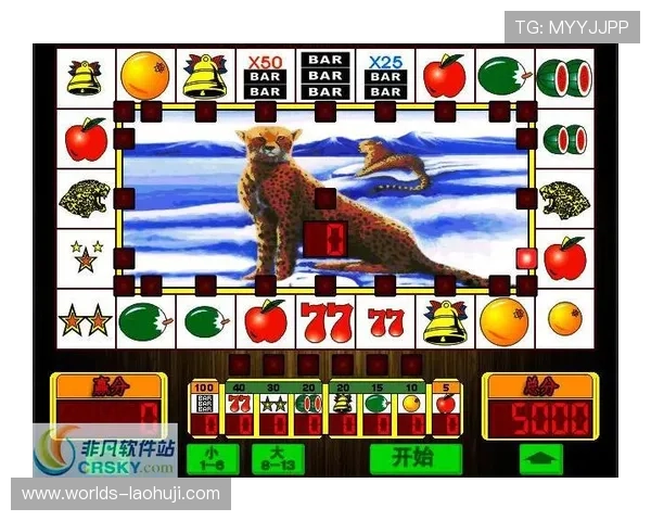 老虎机规则通俗讲解：全面解析游戏流程和常见误区